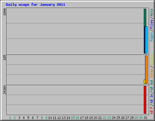 Daily usage for January 2011
