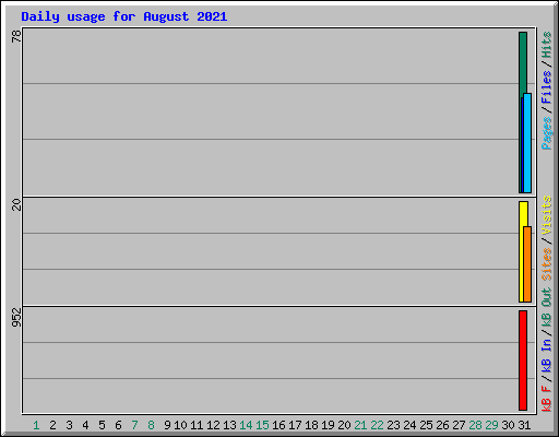 Daily usage for August 2021