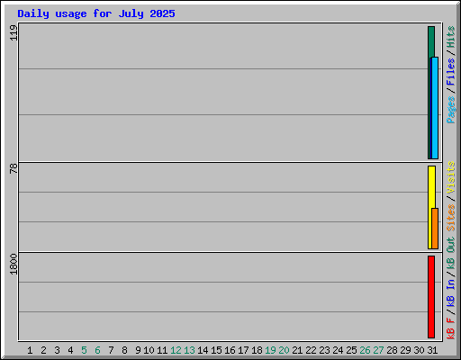 Daily usage for July 2025