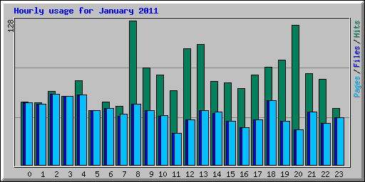 Hourly usage for January 2011