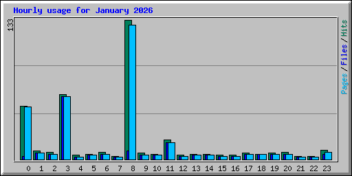 Hourly usage for January 2026